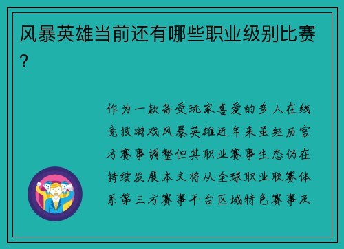 风暴英雄当前还有哪些职业级别比赛？